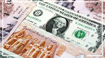 سعر الدولار اليوم الثلاثاء 31 ديسمبر 2024 1