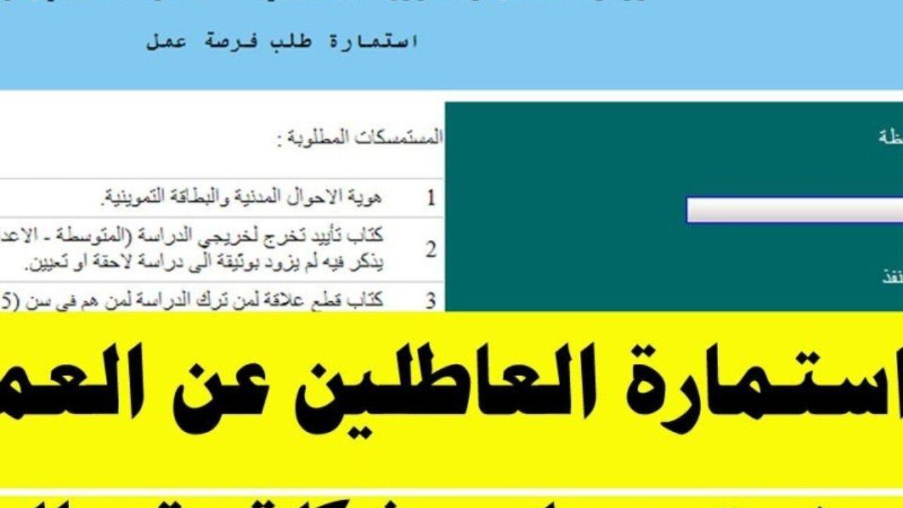 العراق توفر فرص عمل للمواطنين العراقيين في الخارجي.. تعرف على شروط وخطوات التسجيل 