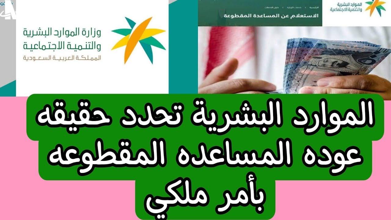 حقيقة عودة المساعدة المقطوعة العام القادم 2025 اعرف حقيقة الأمر !