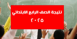 سيس 696x351 1