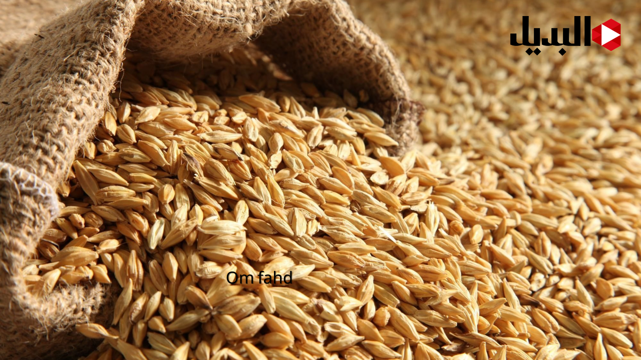 سعر طن الشعير سعر طن الشعير