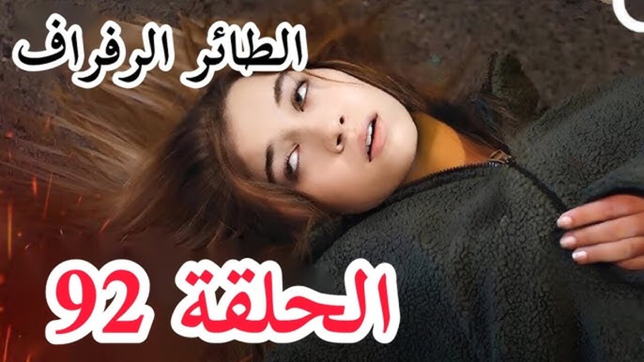 سـونا تكشـف لسيــران علاقتهـا ب فـريـد.. عــرض مسلسل الطائر الرفراف الحلقة 92 قصة عشق وتــردد قناة Star TV