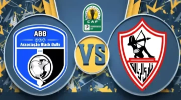 image_870x_67818ae6b8b78 (1)