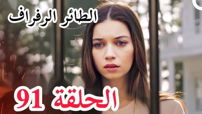 مسلسل طائر الرفراف الحلقة 91 في هذا المـوعـد عبر تردد القنوات الناقلة