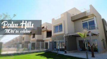 palm hill zayed compound