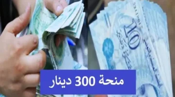 بدأ الآن🔥.. خطوات التسجيل في منحة 300 دينار تونس 2025 بسهولة.. الشروط والخطوات عبر موقع social.gov.tn