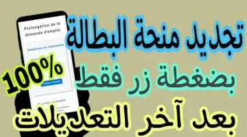 رابط تجديد منحة البطالة 1