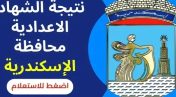محافظ الإسكندرية نتيجة الشهادة الإعدادية