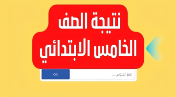 نتيجة الصف الخامس الابتدائي لجميع محافظات مصر 2025 بالاسم ورقم الجلوس 1