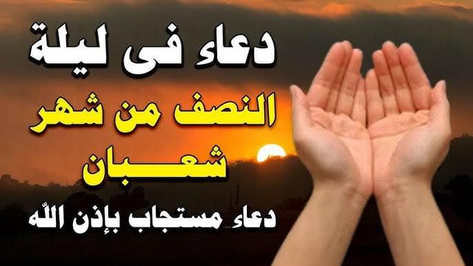 images – 2025-02-10T094932.705 images – 2025-02-10T094932.705