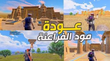 CREATOR: gd-jpeg v1.0 (using IJG JPEG v62), default quality?