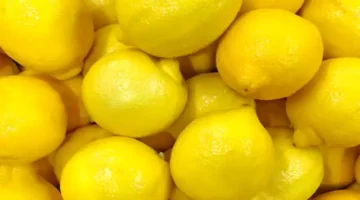 سعر الليمون