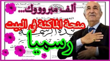 images – 2025-03-03T044824.414