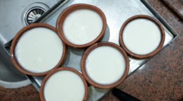 طريقة عمل الزبادي بدون ماكينة