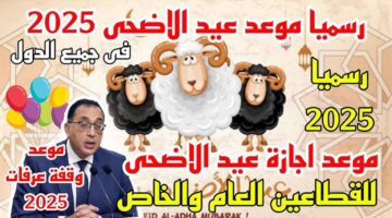 11zon_resized – 2025-05-18T180509.538