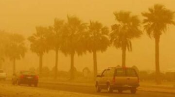 طقس الجزائر