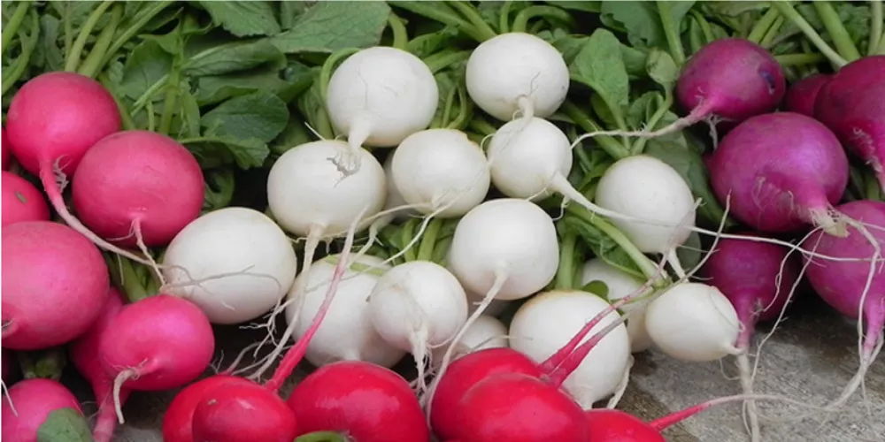 6dfd3b74faaabeda86584196f8c12b16.png 6dfd3b74faaabeda86584196f8c12b16.png