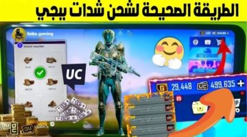 شحن شدات ببجي