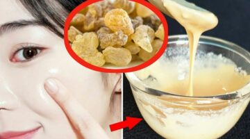 صابونة لبان الذكر