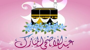 151-2-800×600 (1) (1)