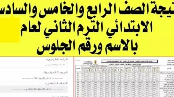 image_870x_683f2f379900c