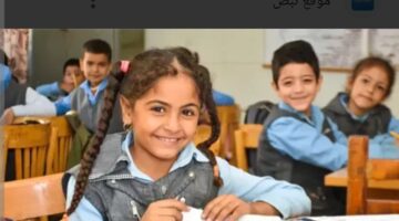 inbound2231780362434802427