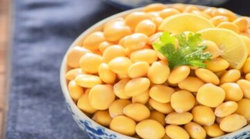 tbl_articles_article_29875_3070fe9fb2b-d67b-47f5-bfa5-d18b7079d394