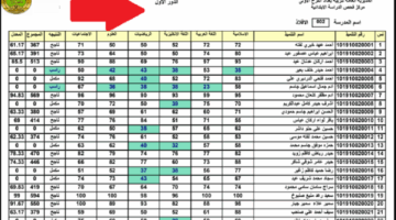 رابط نتائج السادس الابتدائي العراق 2025