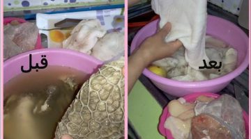 “في ثواني” طريقة تنظيف الكرشة في المنزل بخطوات سهلة ومكون سحري