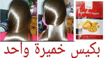 مكونات-عمل-وصفة-الخميرة-لتنعيم-الشعر