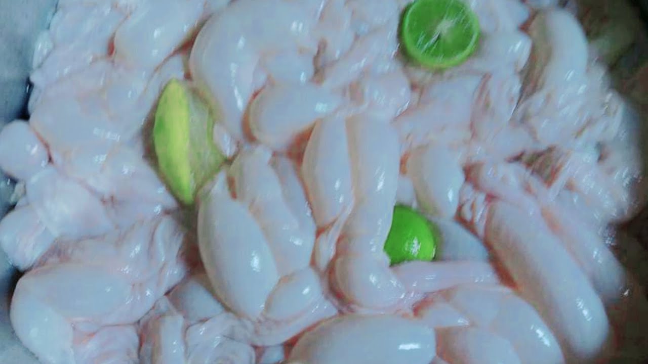 طريقة تنظيف الممبار البيتي طريقة تنظيف الممبار البيتي