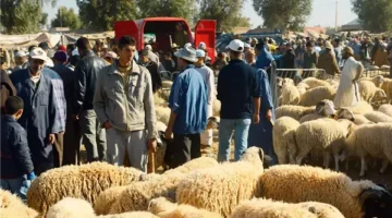 موعد صلاة عيد الاضحى 2025 في الجزائر