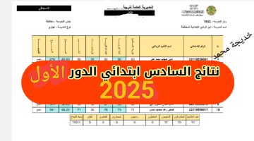 ٢٠٢٥٠٦٠١_١٩٤٣١١