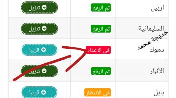 ٢٠٢٥٠٦٠١_٢٢٥٣٠٥