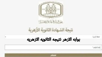 IMG_20250726_185307_739