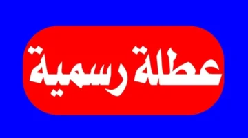 إجازات عام 2025