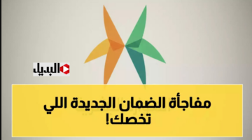 “بوش” موعد صرف معاش الضمان الاجتماعي المطور للـدورة 49 وفقا لقرارات وزارة الموارد.. هل تتأخــر؟