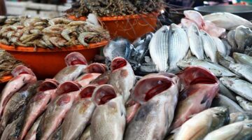 اسعار السمك اليوم