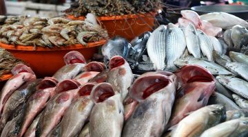 اسعار السمك اليوم