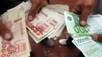سعر اليورو في السكوار اليوم