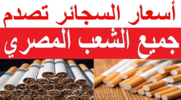 شعبة-الدخان-تُصدم-المواطنين-بشأن-أسعار-السجائر-الجديدة-1