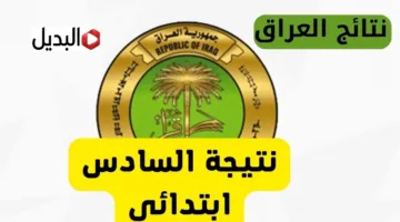 “شــوكــت هسّـــه“ نتائج الصف السادس الابتدائي 2026 الدور التمهيدي بالرقم الامتحاني موقع نتائجنا nataegna.net حال الاعلان