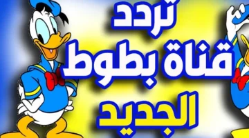 تردد-قناة-بطوط-الجديد-2022-1645368395-2